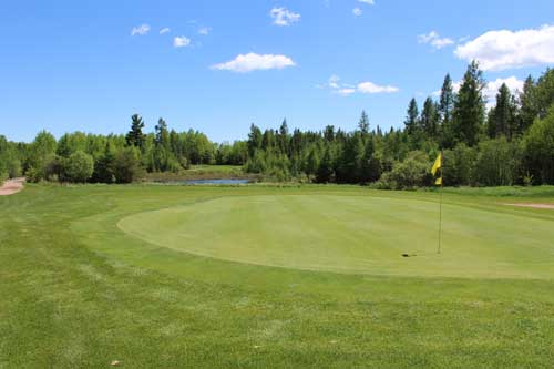 Beautiful Golf Green